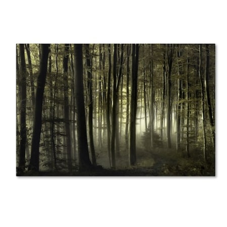 Trademark Fine Art Norbert Maier 'Into The Unknown' Canvas Art, 30x47 1X00218-C3047GG